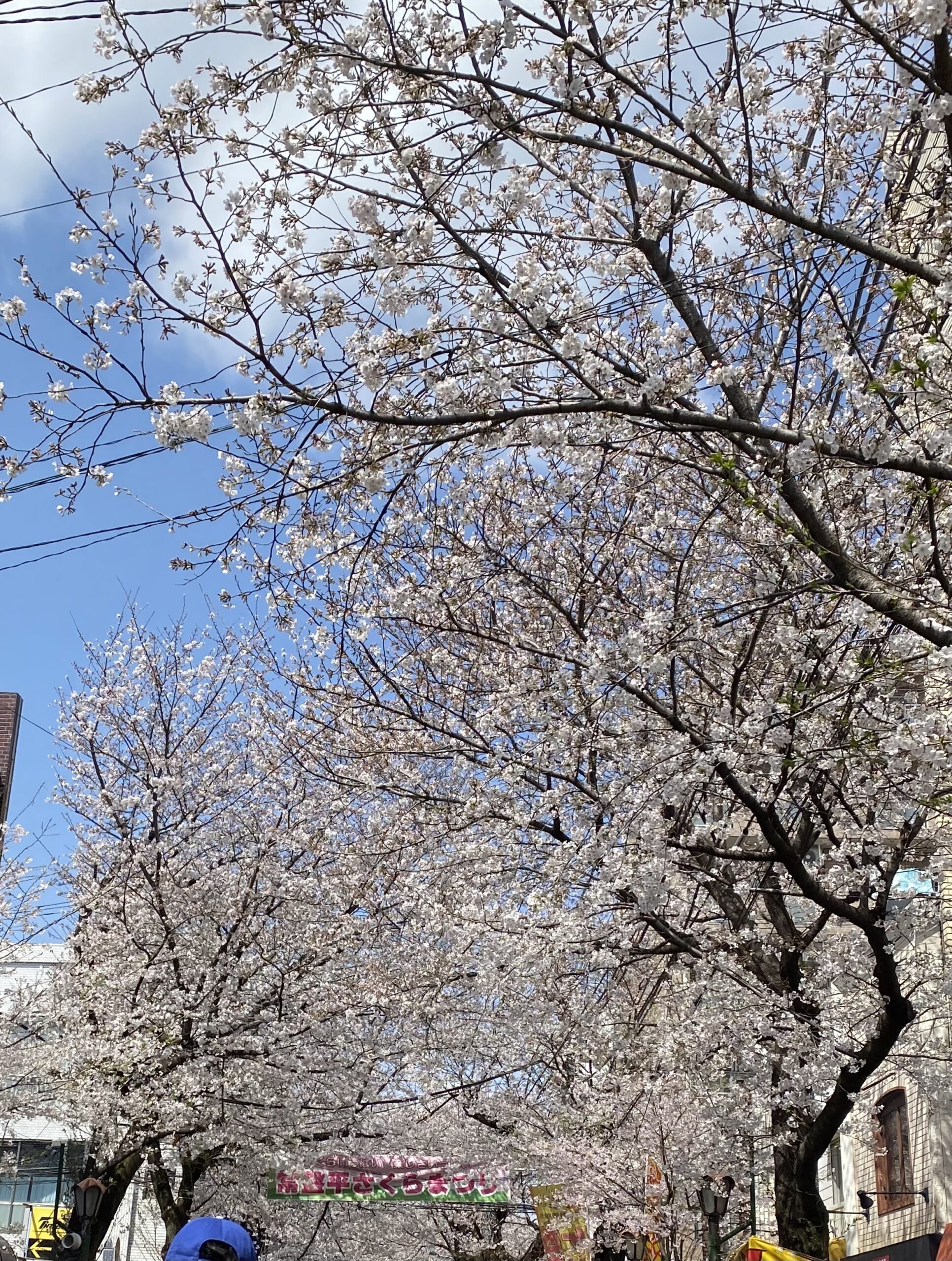 満開の桜のように。新学年、最高のスタートダッシュを！page-visual 満開の桜のように。新学年、最高のスタートダッシュを！ビジュアル